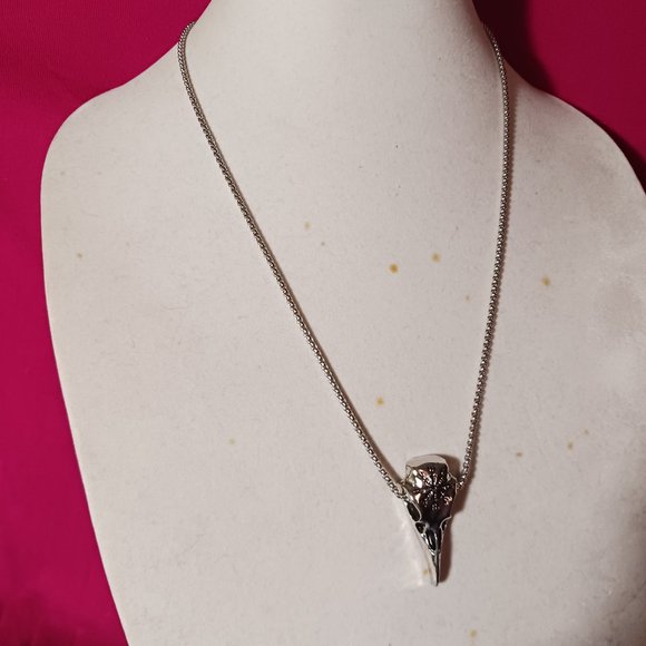 Viking Compass Raven Skull Stainless Steel Necklace NWOT - Picture 2 of 15